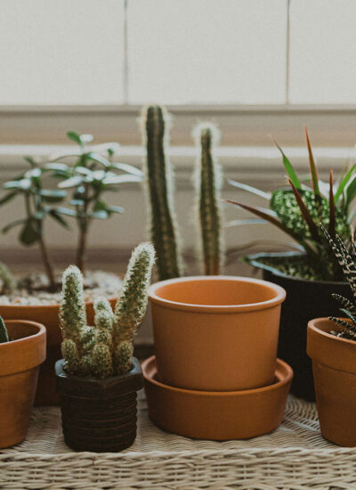 hannah-busing-vGW9j6YMwp0-unsplash