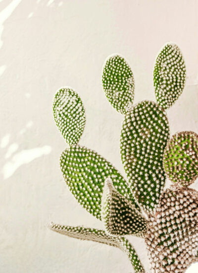 ujjwal-chettri-Xgo_mZ4BiAE-unsplash